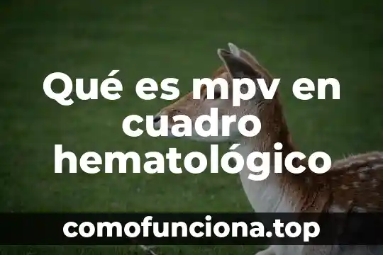 Qué es un cuadro oposición 3 Qué es mpv en cuadro hematológico