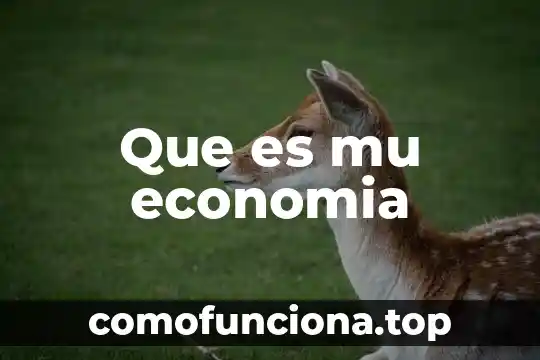 Que es una moneda de pais en una libre economia 4 Que es mu economia