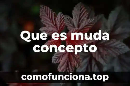Concepto de lo que es desarrollo 5 Que es muda concepto