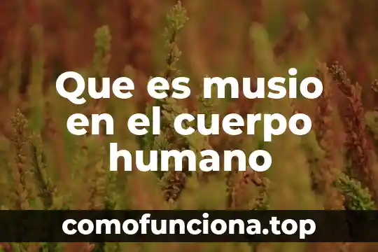 En el ser humano que es el cloro 5 Que es musio en el cuerpo humano