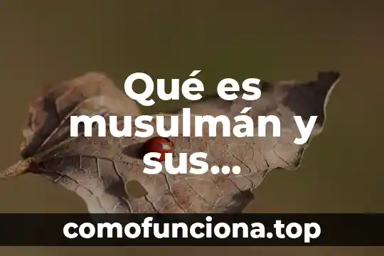 Que es de stijl concepto y caracteristicas 3 Qué es musulmán y sus características