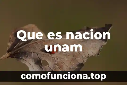 Qué es hipótesis nula unam 6 Que es nacion unam