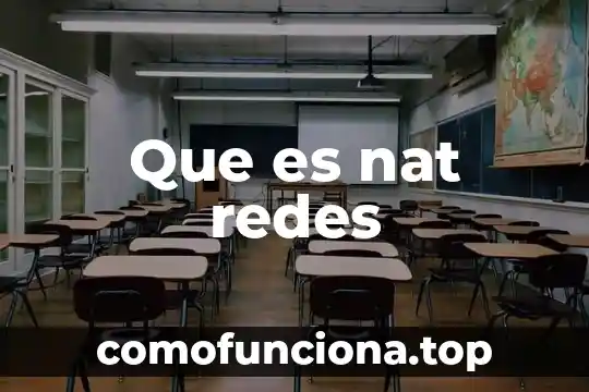 Que es el plexo lumbosacro de un animal 6 Que es nat redes