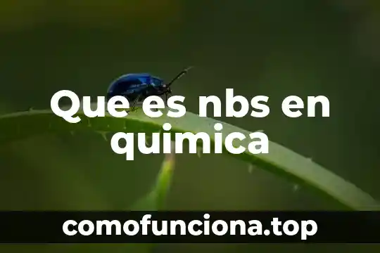 Que es el significado de el nombre de alejandra 3 Que es nbs en quimica