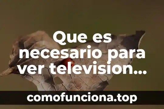 Que es el arte popular en mexico 8 Que es necesario para ver television en mexico