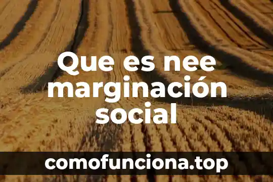 Que es conciencia social empresarial en las pyme 8 Que es nee marginación social