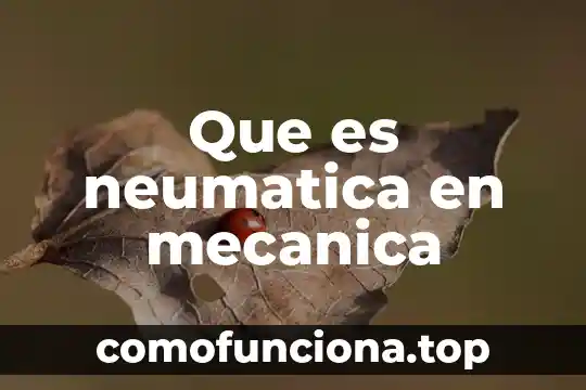 Que es un concepto operacional 5 Que es neumatica en mecanica