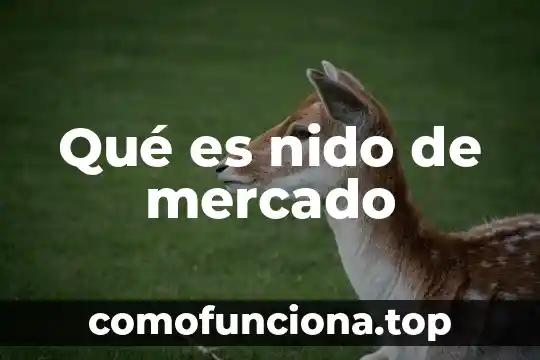 Que es un mercado generico 5 Qué es nido de mercado