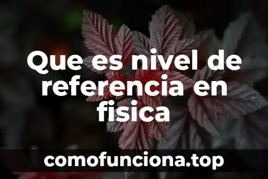 Que es la linea de referencia tolerancia en tolerancias 3 Que es nivel de referencia en fisica