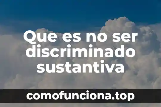 Que es ser chipilon 3 Que es no ser discriminado sustantiva