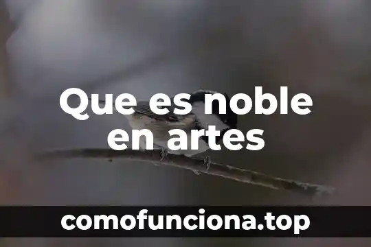 Que es noble en arte 3 Que es noble en artes