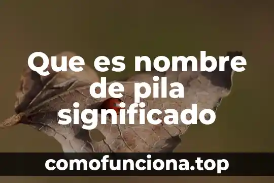Por que es importante que los elementos quimicos tengan nombre 7 Que es nombre de pila significado