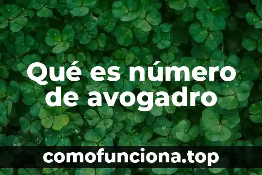 Número Kua que es 7 Qué es número de avogadro