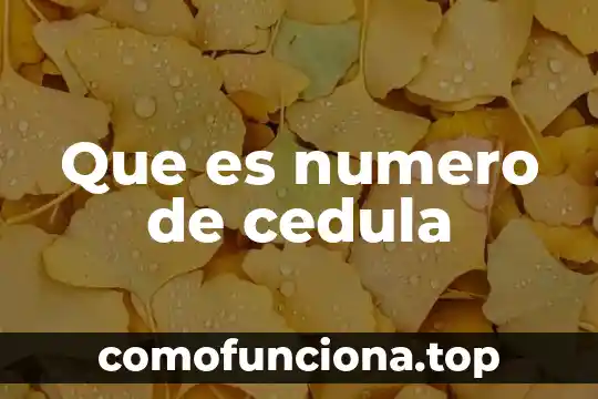 Qué es un número de convenio 5 Que es numero de cedula
