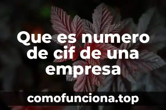 Qué es el número pí 7 Que es numero de cif de una empresa
