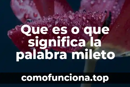 Que es un formato m4v significa 8 Que es o que significa la palabra mileto