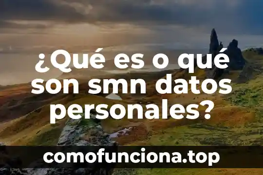 Que es un formato de datos personales 7 ¿Qué es o qué son smn datos personales?