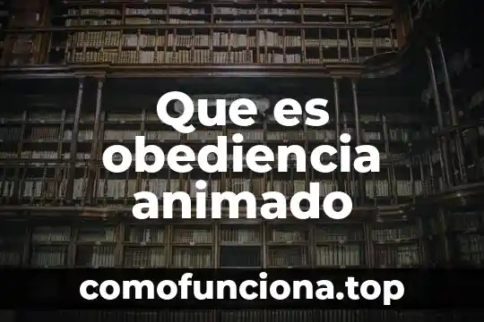 Que es un padre para un hijo animado 8 Que es obediencia animado