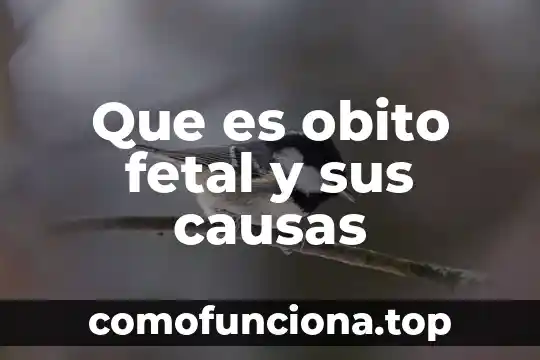 Qué es un terremoto sus causas y sus precauciones 8 Que es obito fetal y sus causas