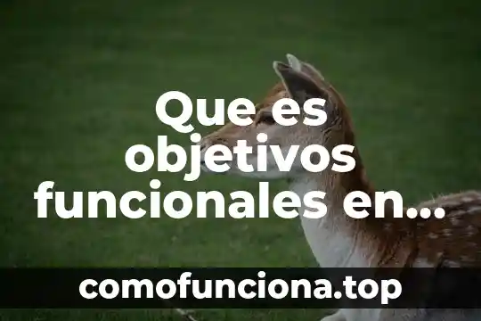 Objetivos feria introduccion para que es 3 Que es objetivos funcionales en administracion