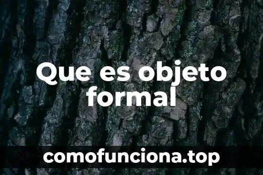 Que es un ente formal en filosofia 6 Que es objeto formal