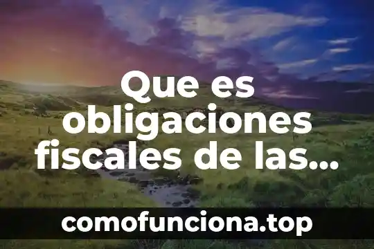 Que es una firma de personas morales 6 Que es obligaciones fiscales de las personas morales