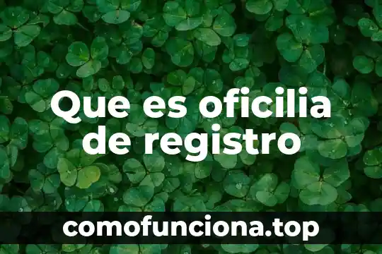 Que es un registro en español 3 Que es oficilia de registro