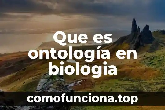Qué es ontología y ejemplos 4 Que es ontología en biologia