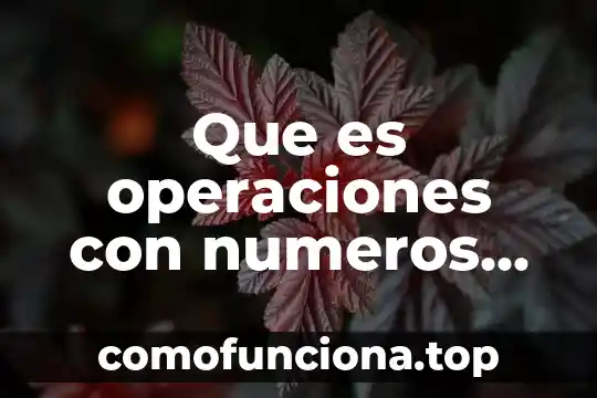 Qué es QA en números 8 Que es operaciones con numeros imaginarios y complejos