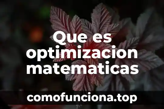 Qué es el signo de admiración en matemáticas 8 Que es optimizacion matematicas