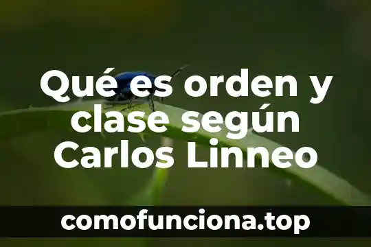 Según Carlos Marx que es el materialismo dialéctico 5 Qué es orden y clase según Carlos Linneo