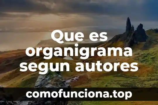 Qué es conciencia histórica según autores 5 Que es organigrama segun autores