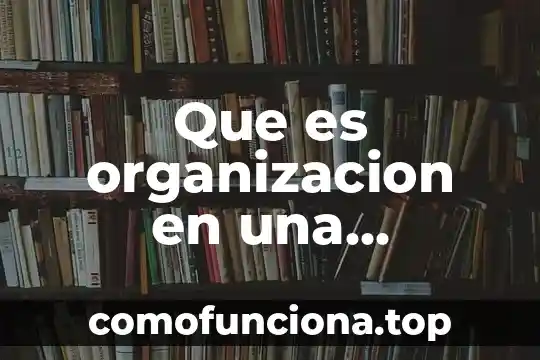 Concepto de que es diseño de una organización 8 Que es organizacion en una exposicion oral