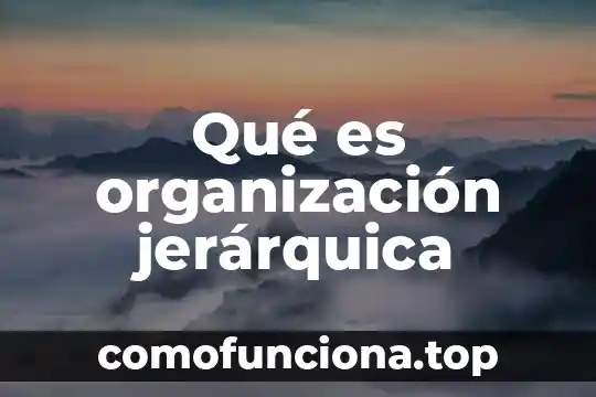 Que es el la organizacion en la danza 5 Qué es organización jerárquica