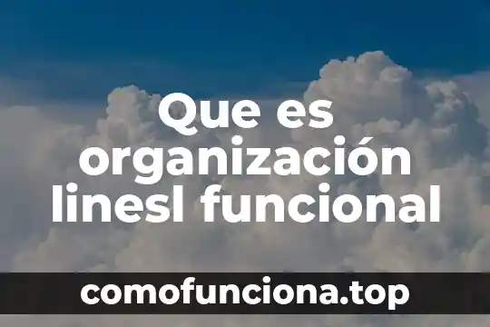 Que es una falla de canbus en planta 5 Que es organización linesl funcional