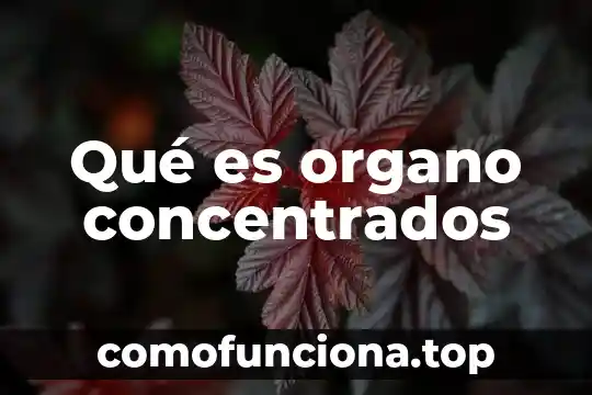 Qué es el órgano del ser humano 7 Qué es organo concentrados