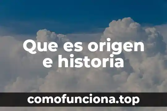 Que es declaraciones en historia 8 Que es origen e historia