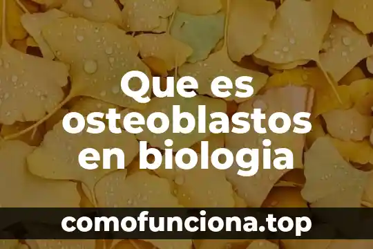 Que es especializado celular biologia 4 Que es osteoblastos en biologia