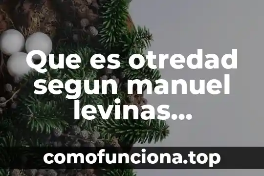 Que es un sociedad carismatica segun weber 3 Que es otredad segun manuel levinas resuemn