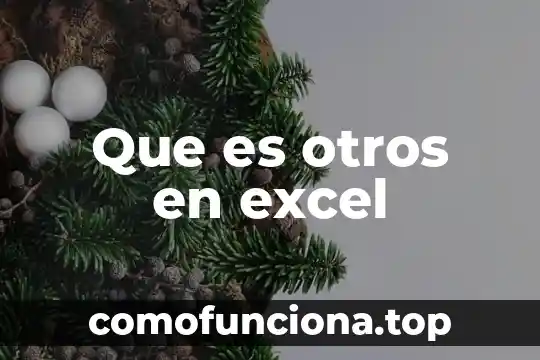 Qué es una VBA en Excel 4 Que es otros en excel