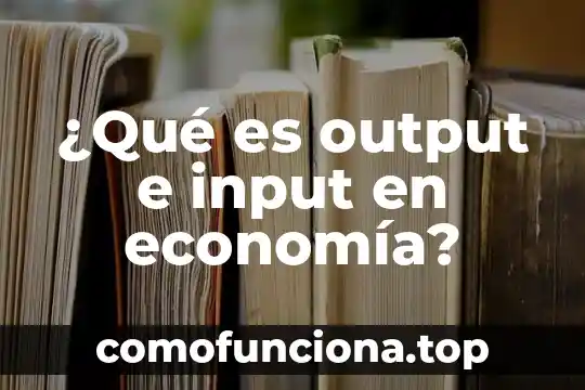 Qué es la abstracción en economía 5 ¿Qué es output e input en economía?