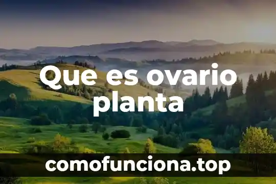 Abatelengua de madera que es 6 Que es ovario planta