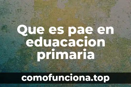 Que es el valor maximo de recuperación 8 Que es pae en eduacacion primaria