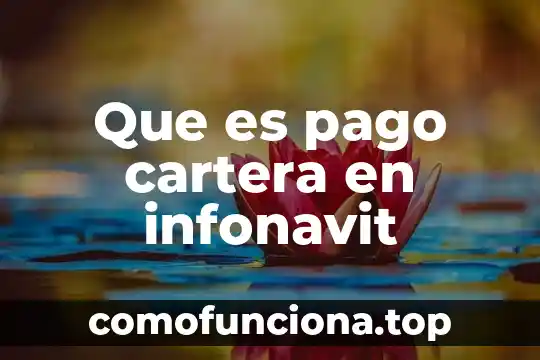 Que es una sociedad de contraste 4 Que es pago cartera en infonavit