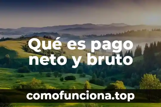 Que es el producto interno bruto explicacion de sexto grado 3 Qué es pago neto y bruto