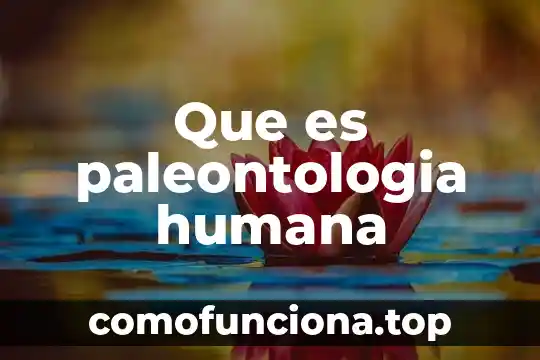 Que es estilizacion de la figura humana 8 Que es paleontologia humana
