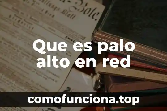 Que es el funcionamiento cognitivo 6 Que es palo alto en red