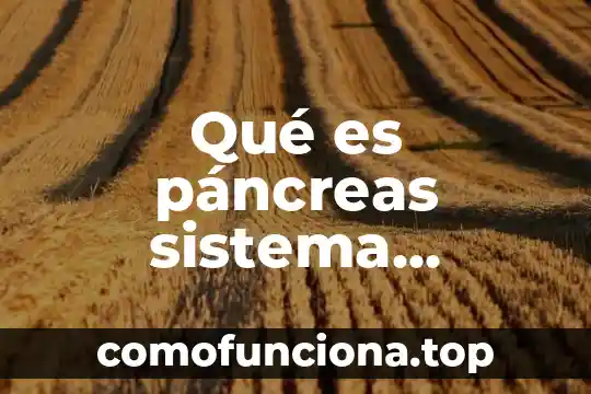 Qué es el sistema digestivo definición 6 Qué es páncreas sistema digestivo