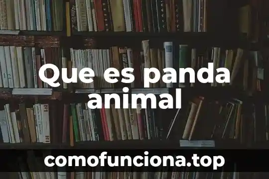 Que es un animal koala 4 Que es panda animal