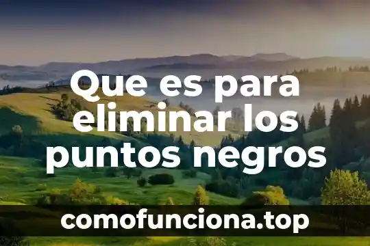 Dieta por puntos que es 3 Que es para eliminar los puntos negros